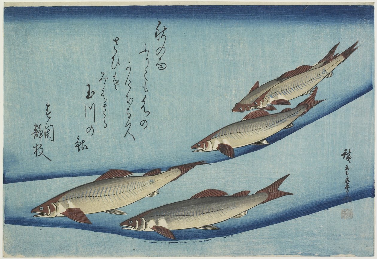Forelle von Ando or Utagawa Hiroshige