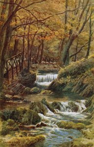 Groudle Glen, Isle of Man