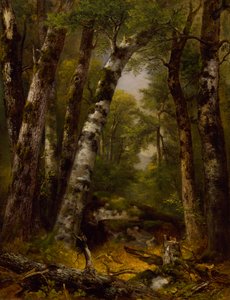 Waldtal, ca. 1850-1855