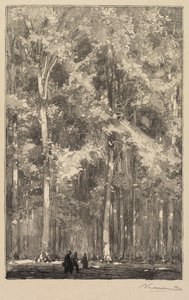 Fontainebleau-Wald: Morgen, Kreuzung der Route der Forts de Marlotte (La Forêt de Fontainebleau: Le Matin, Carrefour des Fort de Marlotte)