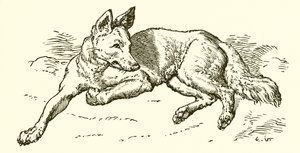 Der Wolf im Schafspelz