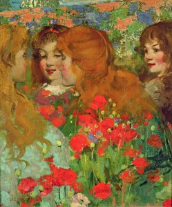 Die Mohnblumen