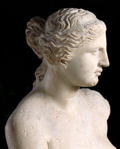 Venus von Milo (Detail des Kopfes)