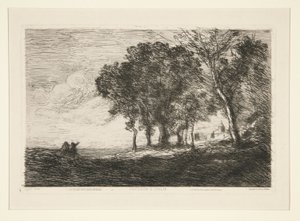 Landschaft