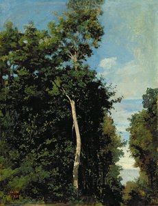 Der Wald auf der Cote de Grace in Honfleur