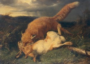Fuchs und Hase