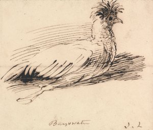 Ein Huhn