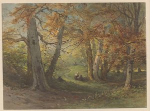 Waldansicht bei Oosterbeek