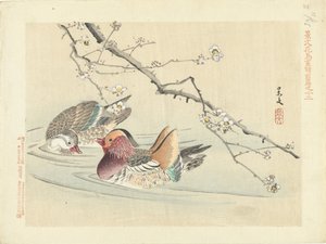 Zwei Enten (Blumen- und Vogelskizzen von Keibun - Teil eins)