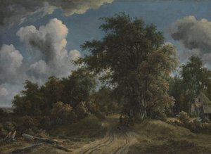Waldweg
