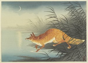 Fuchs am mondbeschienenen Wasser