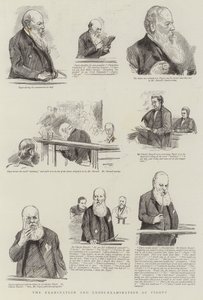 Die Untersuchung und Kreuzverhör von Pigott