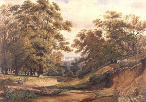 Szene im Bagley Wood bei Oxford